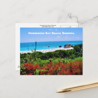 Horseshoe Bay Beach, Bermuda Postcard Postkarte