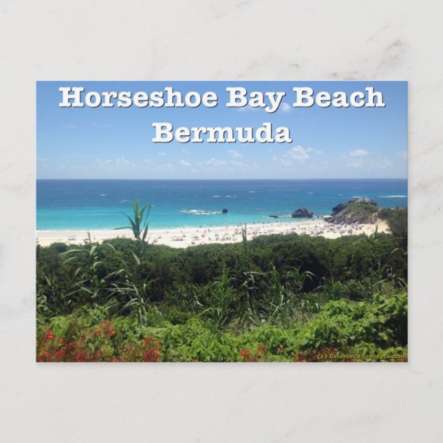 Horseshoe Bay Beach, Bermuda Postkarte (Vorderseite)