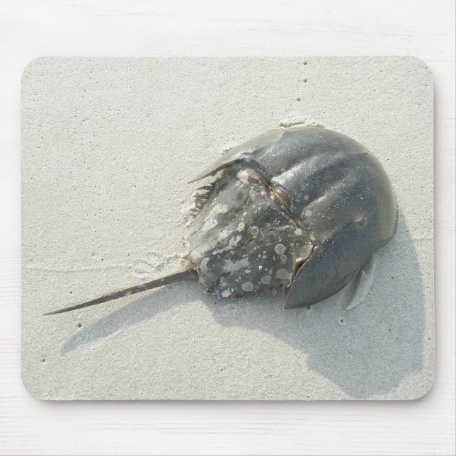 Horseshoe Crab Mousepad (Vorne)
