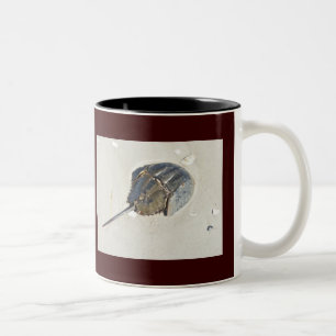 Horseshoe Crab Tasse