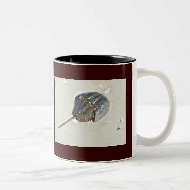 Horseshoe Crab Tasse (Rechts)