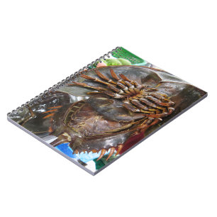 Horseshoe Crab ... Thai Asian Street Food Notizblock