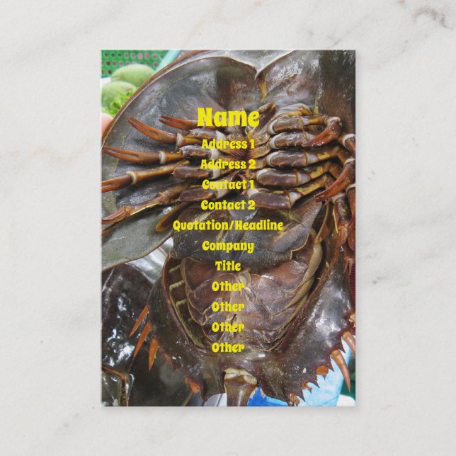 Horseshoe Crab ... Thai Asian Street Food Visitenkarte (Vorderseite)
