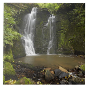 Horseshoe Falls, Matai Falls Fliese