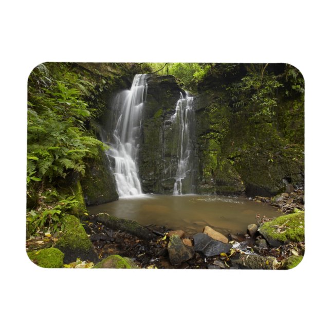 Horseshoe Falls, Matai Falls Magnet (Horizontal)