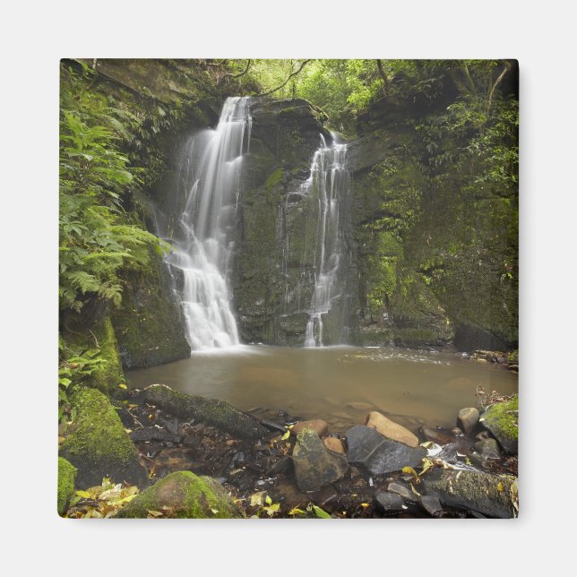 Horseshoe Falls, Matai Falls Magnet (Vorne)
