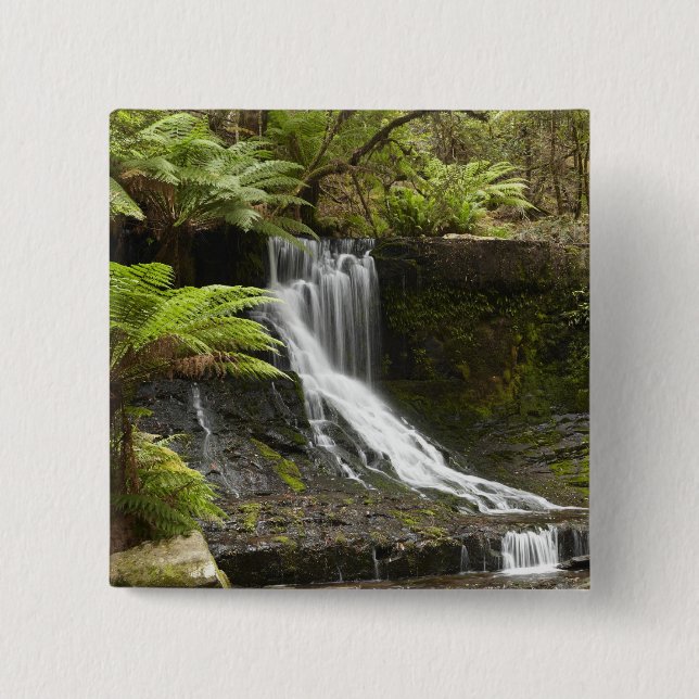 Horseshoe Falls, Mount Field National Park, Button (Vorderseite)