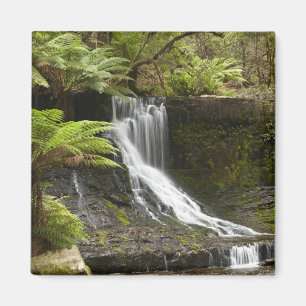 Horseshoe Falls, Mount Field National Park, Magnet