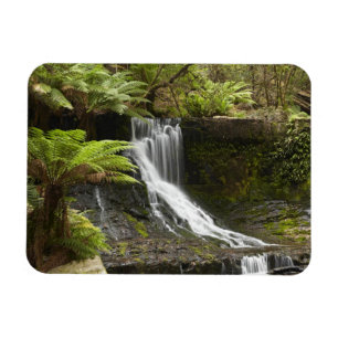 Horseshoe Falls, Mount Field National Park, Magnet