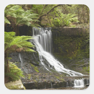 Horseshoe Falls, Mount Field National Park, Quadratischer Aufkleber