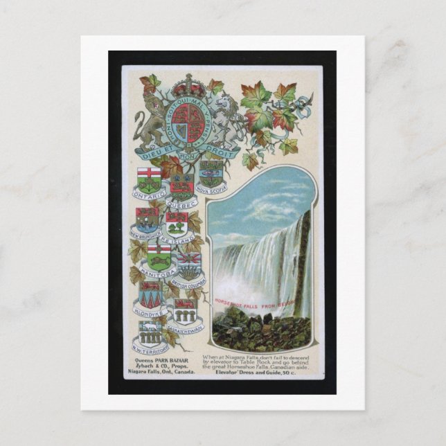 Horseshoe Falls, Niagara Falls, Kanada Vintag Postkarte (Vorderseite)