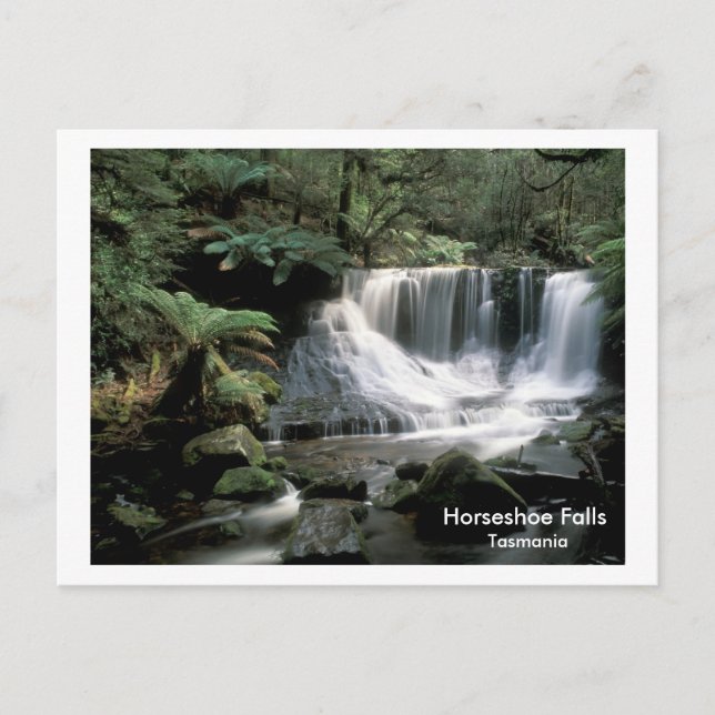 HorseShoe Falls Tasmania Postkarte (Vorderseite)