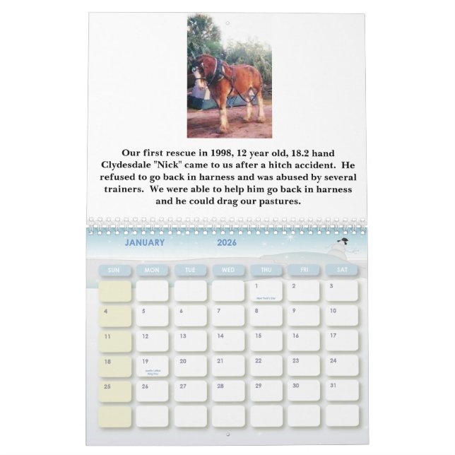 HORSESISTERS 2010 KALENDER (Jan 2026)