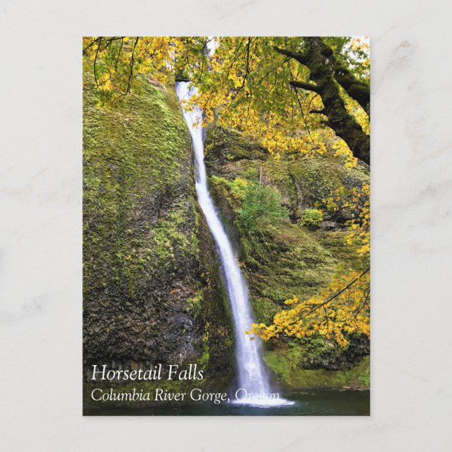 Horsetail Falls, Columbia River Gorge, Oregon Post Postkarte (Vorderseite)