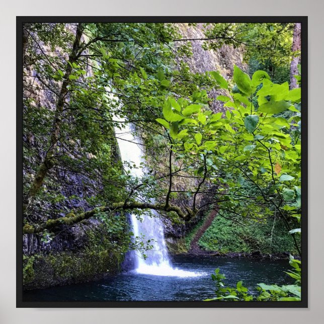 Horsetail Falls Poster (Vorne)