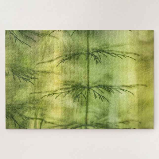 Horsetail Nature Foto (Horizontal)