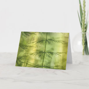 Horsetail Nature Foto Karte