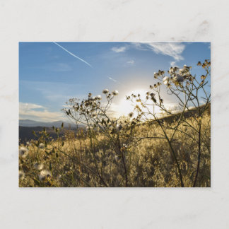 Horsetooth Reservoir Colorado Postcard Postkarte