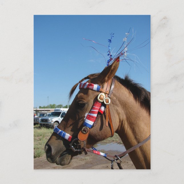 Horsey 4th postkarte (Vorderseite)