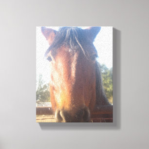 Horsey Liebe-Leinwand Browns Leinwanddruck