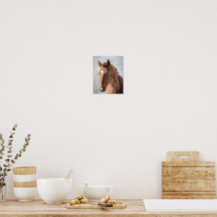 HORSIE POSTER