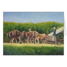 Horsing autour