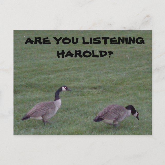 HÖRST DU HAROLD? Postkarte? Postkarte (Vorderseite)