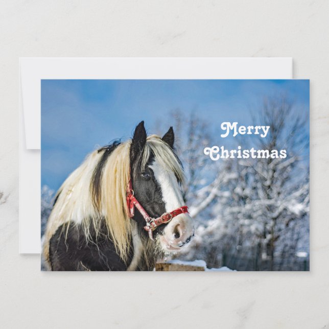 Horst Schnee Foto Weihnachtsflache Feiertagskarte (Vorderseite)