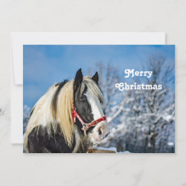 Horst Schnee Foto Weihnachtsflache Feiertagskarte