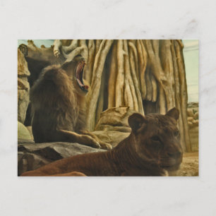 Hört mich Roar! Postkarte