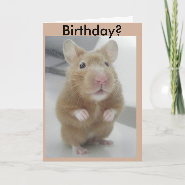 Hörte ich nach rechts? karte (Vorderseite)