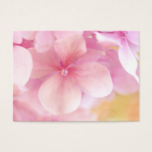 Hortensia