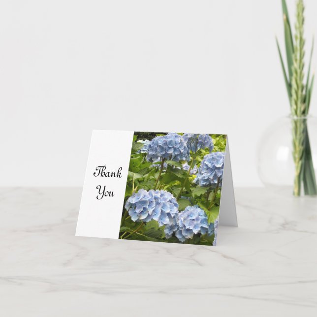 Hortensia Bleu Merci (Devant)