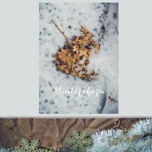 Hortensia-Blume auf dem Schnee Poster