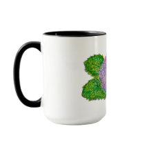 Hortensia Blume