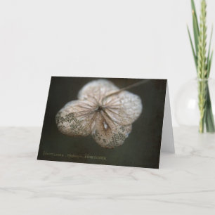 Hortensia Greeting Card Karte