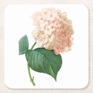 Hortensia(Hydrangea sp.) von Redouté Rechteckiger Pappuntersetzer