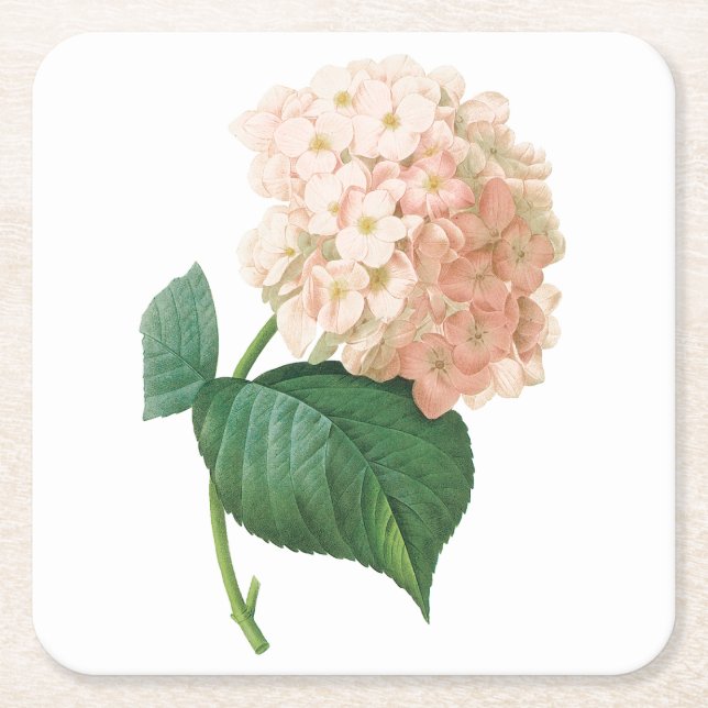Hortensia(Hydrangea sp.) von Redouté Rechteckiger Pappuntersetzer (Vorderseite)