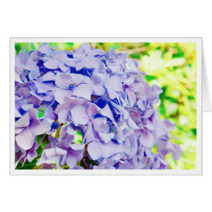 Hortensia lumineux d'été