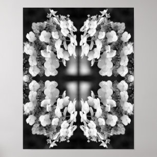 Hortensie Schwarz-Weiß-Spiegel-Blumenkunst Poster