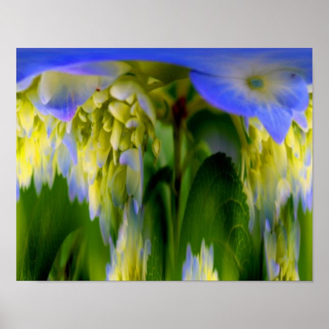 Hortensien-Blumen-Fantasie Floral Abstrakt  Poster (Vorne)