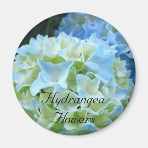 Hortensien-Blumen Magnet Blaue Hortensien Floral