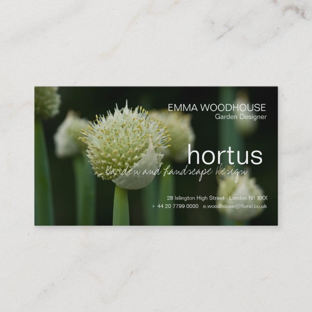 Hortus - Carte de visite allium (Devant)