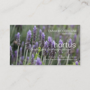 Hortus - Carte de visite de Lavendar