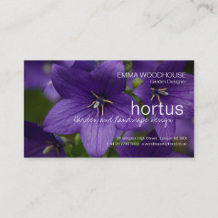 Hortus - chinesische Glockenblumen-Visitenkarte Visitenkarte