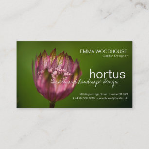 Hortus - Great Masterwort Business Card Visitenkarte
