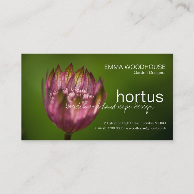 Hortus - Great Masterwort Business Card Visitenkarte (Vorderseite)