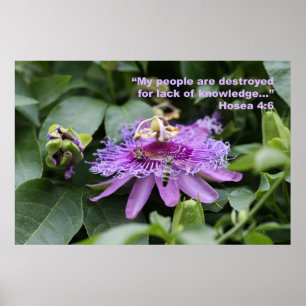 Hosea 4:6 Schrifts-Plakat Poster