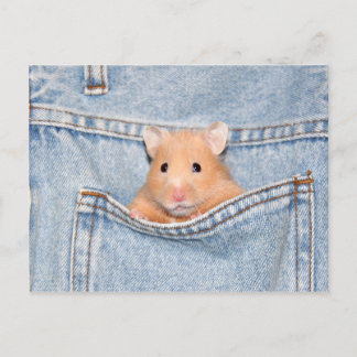 Hosentasche Postkarte