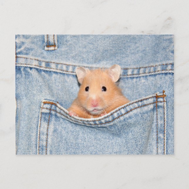 Hosentasche Postkarte (Vorderseite)